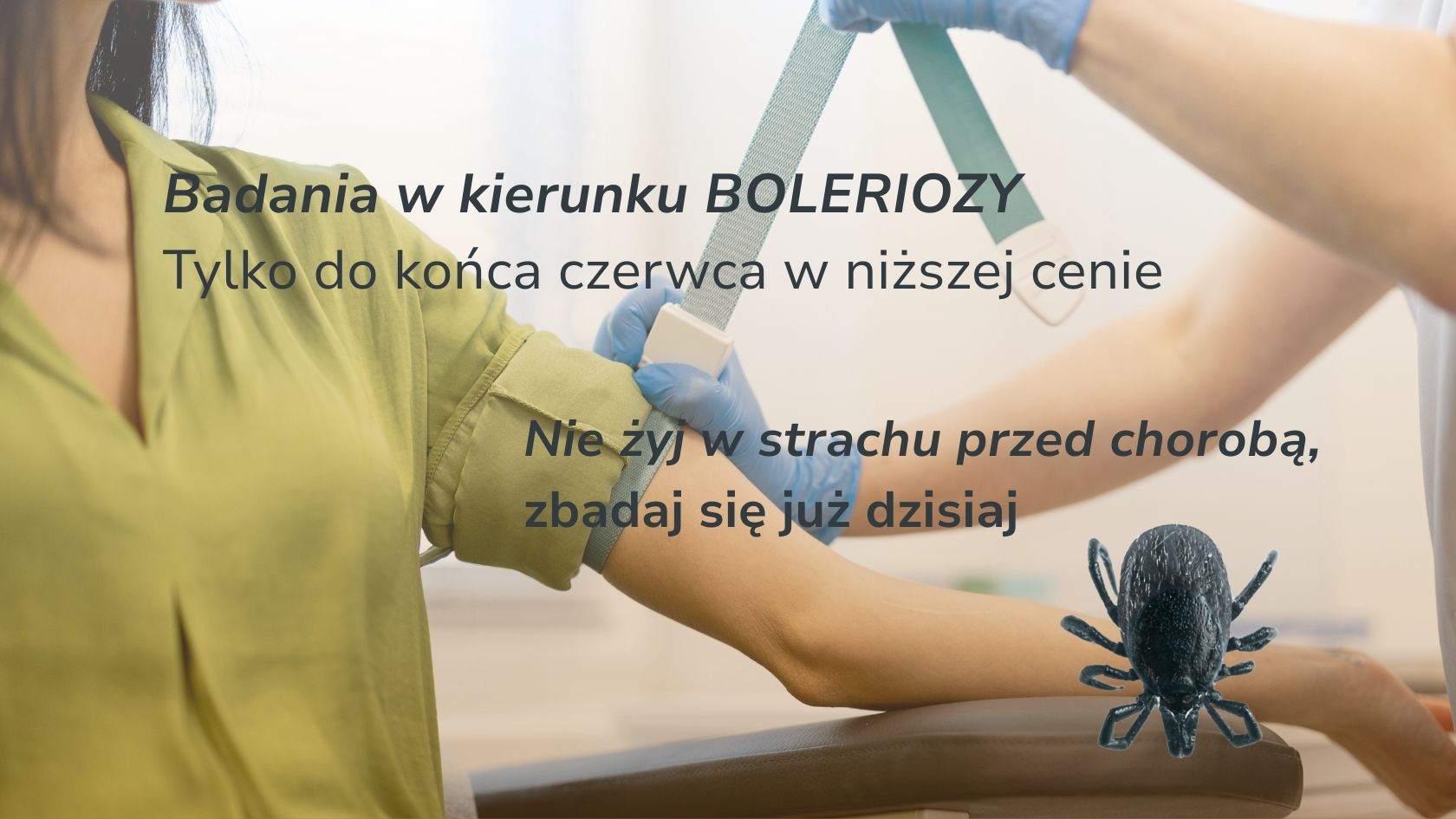 borelioza i badania krwi
